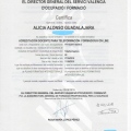 Acercar imagen: certificate 9