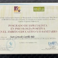 Acercar imagen: certificate 7