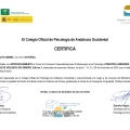 Acercar imagen: certificate 22