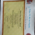 Acercar imagen: certificate 5