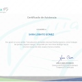 Acercar imagen: certificate 26