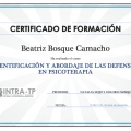 Acercar imagen: certificate 1