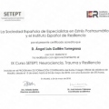 Acercar imagen: certificate 5