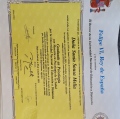Acercar imagen: certificate 11