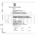Acercar imagen: certificate 5