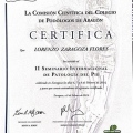 Acercar imagen: certificate 14