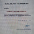Acercar imagen: certificate 5