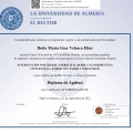 Acercar imagen: certificate 3