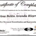 Acercar imagen: certificate 11
