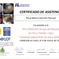 Acercar imagen: certificate 14