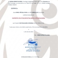 Acercar imagen: certificate 3