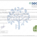 Acercar imagen: certificate 35