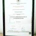 Acercar imagen: certificate 7