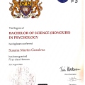 Acercar imagen: certificate 3