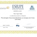 Acercar imagen: certificate 9