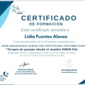Acercar imagen: certificate 3