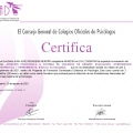 Acercar imagen: certificate 132