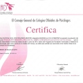 Acercar imagen: certificate 171