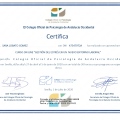 Acercar imagen: certificate 23