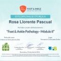 Acercar imagen: certificate 63