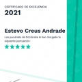 Acercar imagen: certificate 1