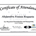 Acercar imagen: certificate 5