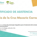 Acercar imagen: certificate 7