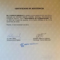 Acercar imagen: certificate 5