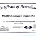 Acercar imagen: certificate 3