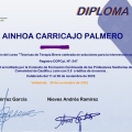Acercar imagen: certificate 1