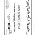 Acercar imagen: certificate 27