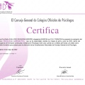 Acercar imagen: certificate 105