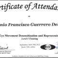 Acercar imagen: certificate 3