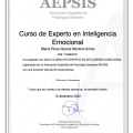 Acercar imagen: certificate 8