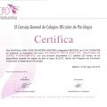 Acercar imagen: certificate 223