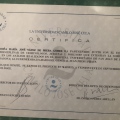 Acercar imagen: certificate 4