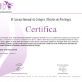 Acercar imagen: certificate 265