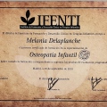 Acercar imagen: certificate 1