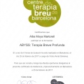 Acercar imagen: certificate 13