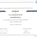 Acercar imagen: certificate 6