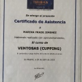 Acercar imagen: certificate 1