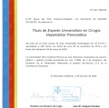 Acercar imagen: certificate 11