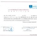 Acercar imagen: certificate 4