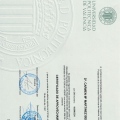 Acercar imagen: certificate 8