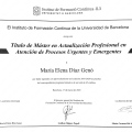 Acercar imagen: certificate 3