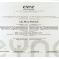 Acercar imagen: certificate 6