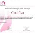 Acercar imagen: certificate 172