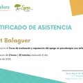 Acercar imagen: certificate 4