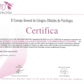 Acercar imagen: certificate 94