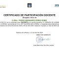 Acercar imagen: certificate 40